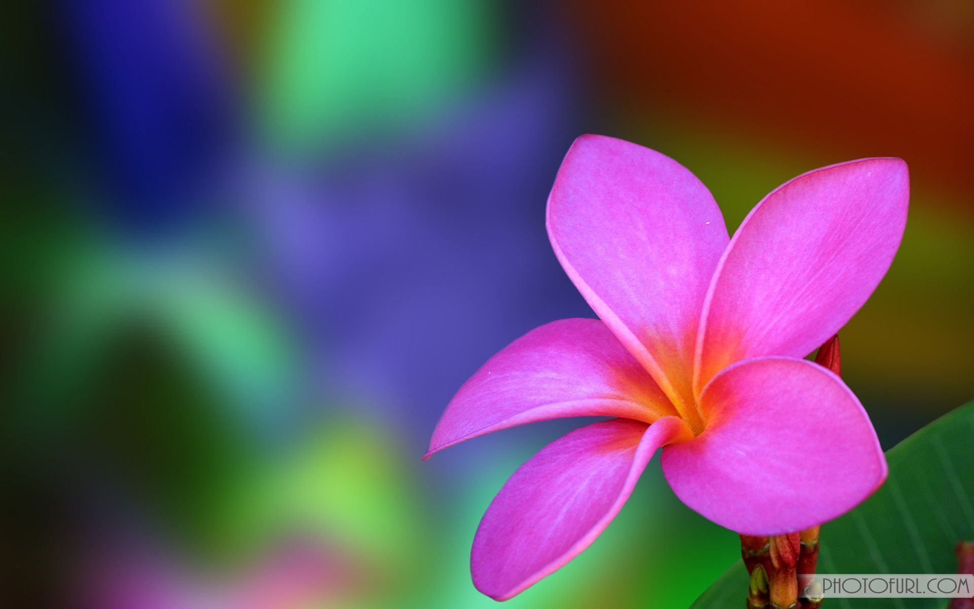 test1